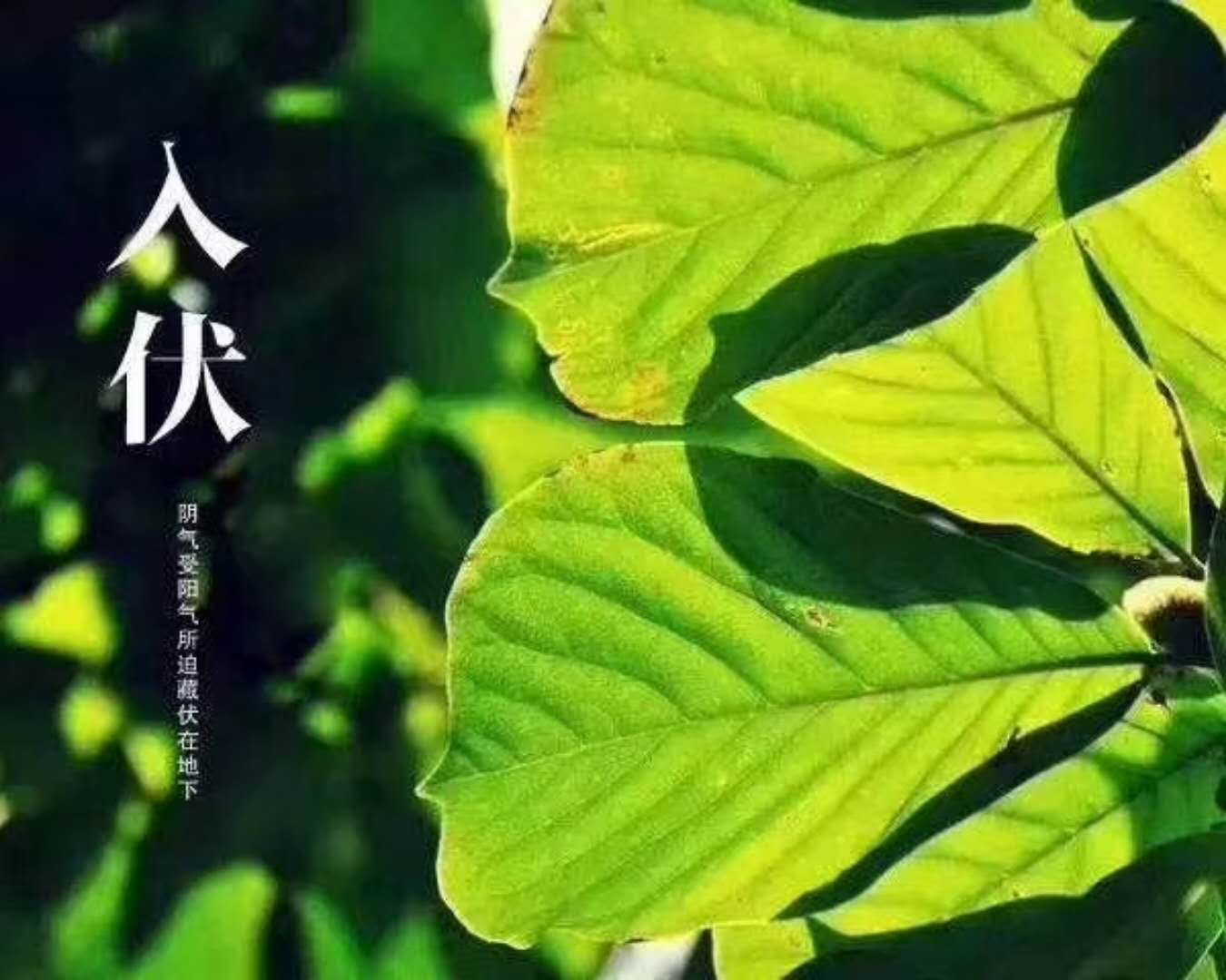 2018年入伏时间_怡和医药|江西怡和医药有限公司