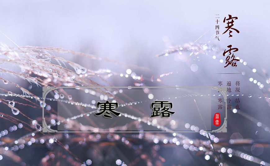 露已寒凉，，，，，请多穿衣：寒露节气的习俗与养生_怡和医药|江西怡和医药有限公司