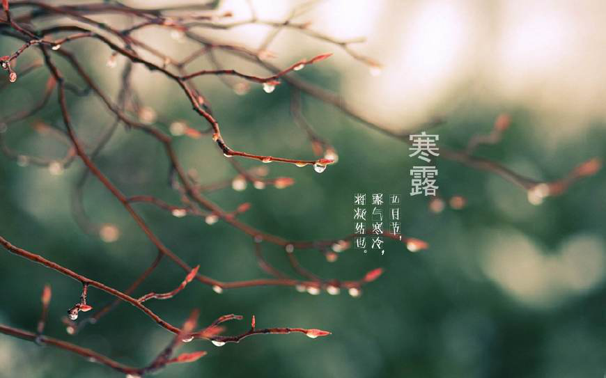 露已寒凉，，，，，请多穿衣：寒露节气的习俗与养生_怡和医药|江西怡和医药有限公司