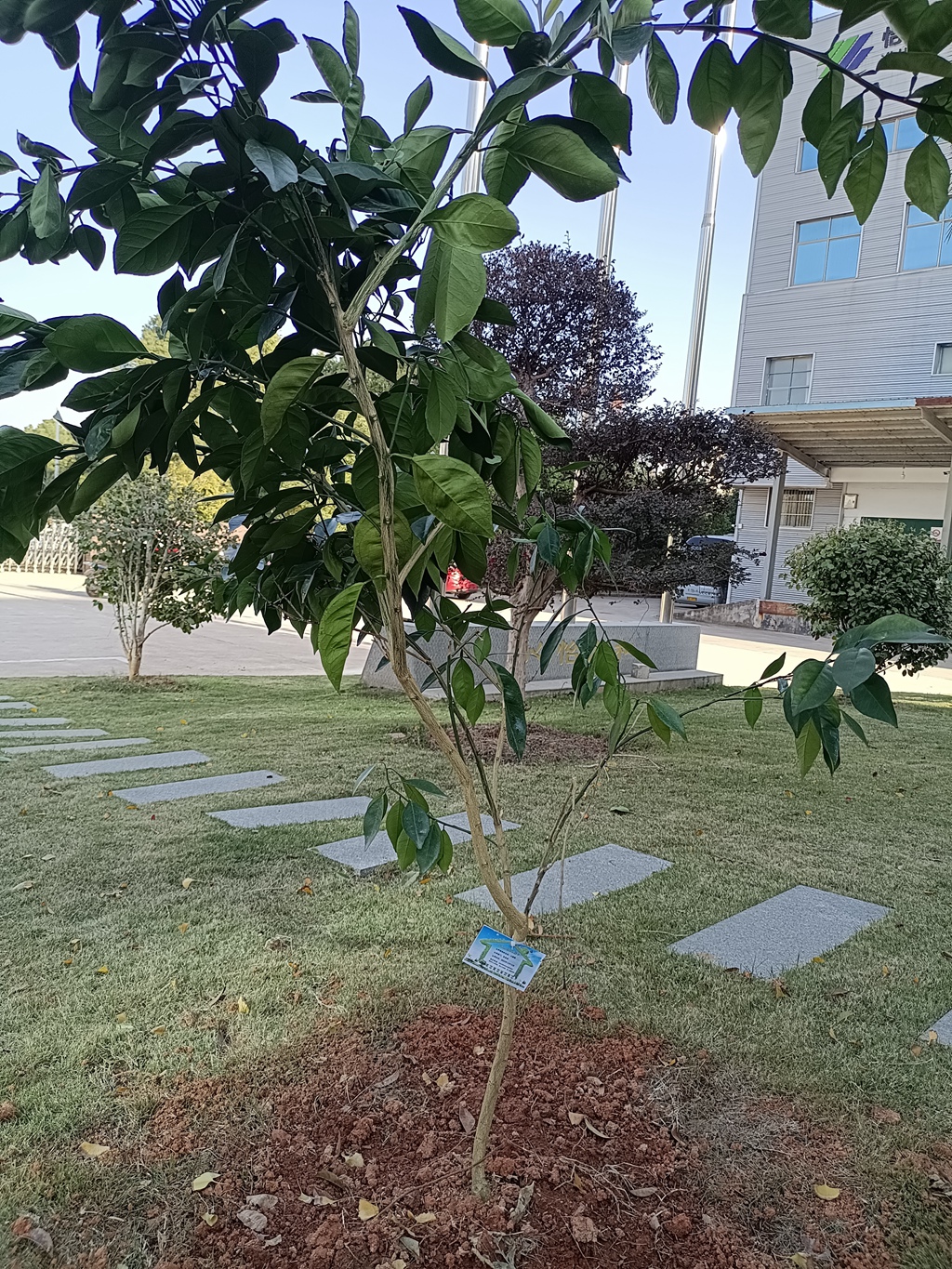 企业新闻_怡和医药|江西怡和医药有限公司_第7页
